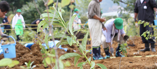 環境プロジェクト